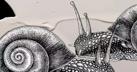 Šneci ve službách beauty průmyslu: zázračný i kontroverzní šnečí mucin