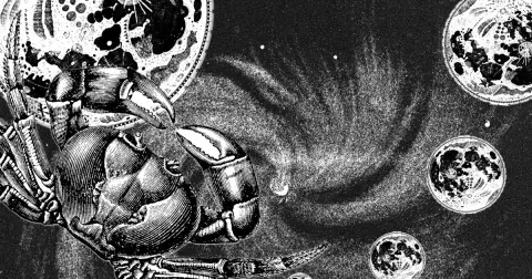 Venuše v Raku: Nastává období, které ovládnou naše pocity