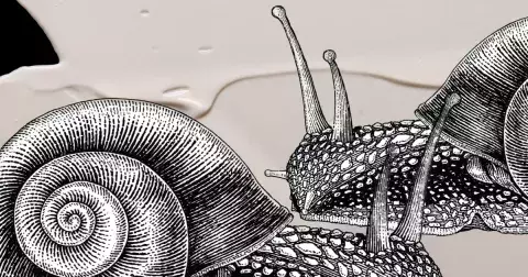 Šneci ve službách beauty průmyslu: zázračný i kontroverzní šnečí mucin