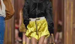 Louis Vuitton Cruise Show 2027